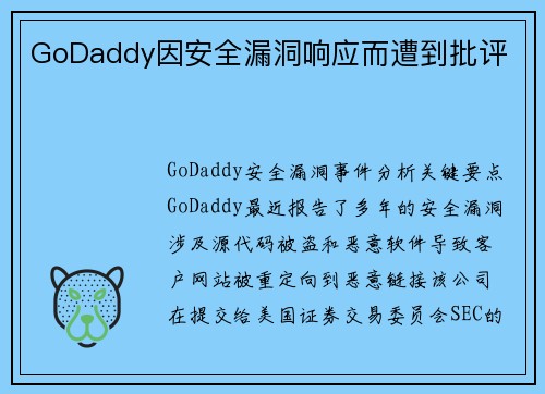 GoDaddy因安全漏洞响应而遭到批评 